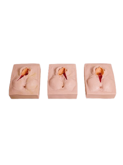 VULVA SUTURING TRAINING SIMULATOR